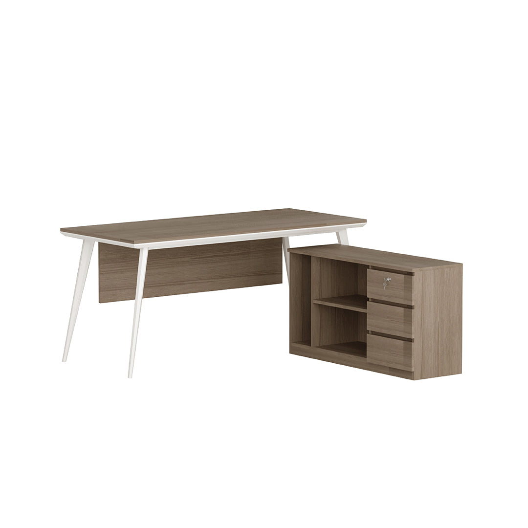 Sr. Executive Table 04